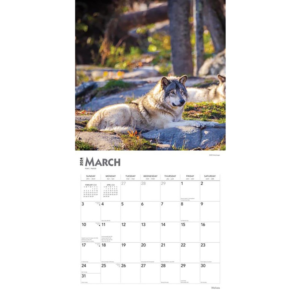 Wolves 2025 Calendar Ryft